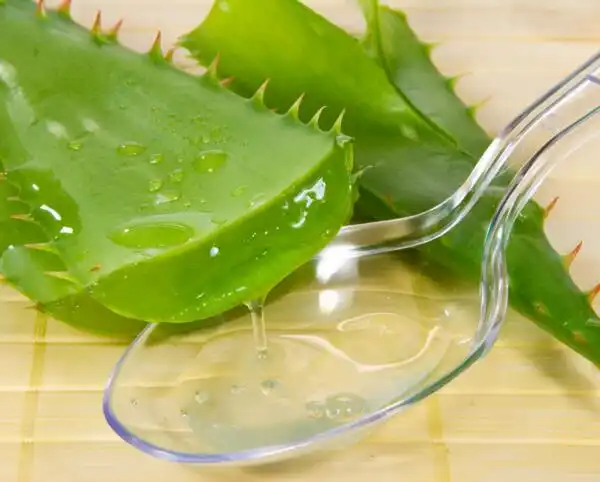 Aloe Vera Leaf Juice